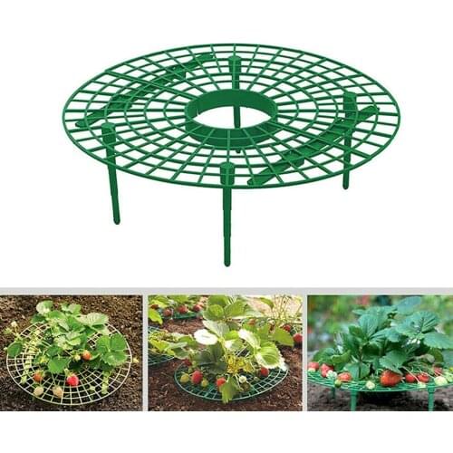 2pcs Removable Strawberry Growing Supports Strawberry Plant Growing Supports Keep Strawberries Off Rots in the Rainy Day