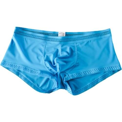 Mens Boxers Ice Silk Transparent Sexy Underwear Gauze See Through Panties Gay Penis Pouch Sleepwear Bottoms Man Shorts XXXL