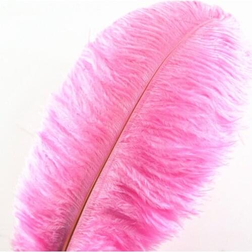 10Pcs/Lot Pink Ostrich Feathers for Crafts 15-70cm/6-28" Ostrich Feather Plume Decoration Plumas Carnaval Craft Feather Decor