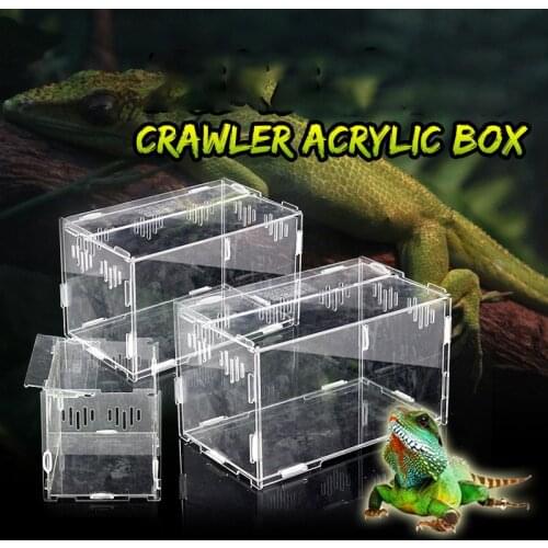 Reptile Breeding Box Acrylic Transparent Spider Lizard Scorpion Entis Acrylic Assembled Insect Breathable Terrarium