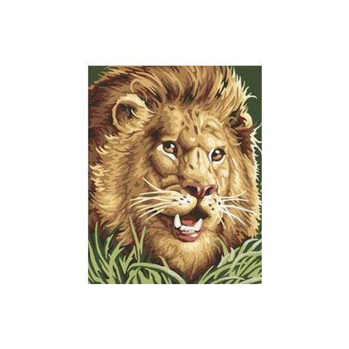 MaHuaf-W829 Terrible lion coloring by numbers wall art pictures for living room diy oil canvas painting cuadros paintings