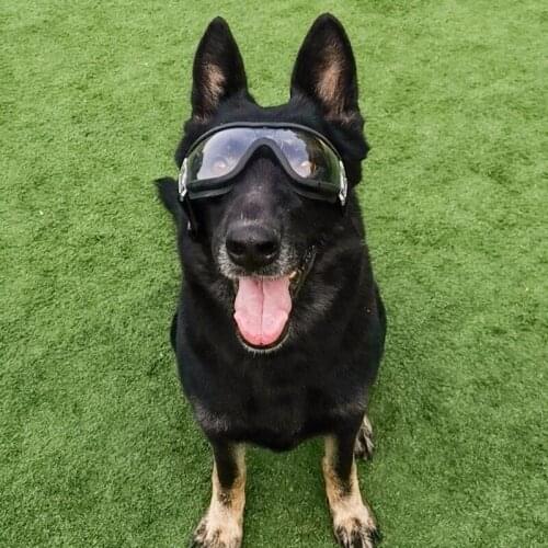 Pet Goggles for Dogs Clear Glasses Waterproof Windproof Snowproof UV Large Dog Glasses Pet Accessories Dog Goggles Small