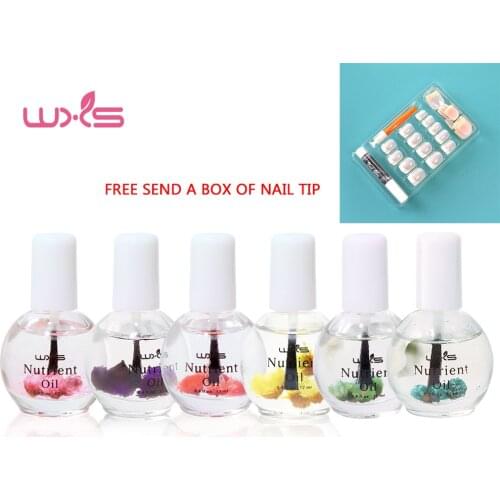6*12ml Cuticle Treatment Dry Flower Nourishment and Nutritional Plant Grease Repair Nail Oil