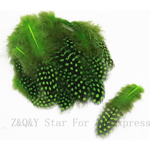 5-10CM (2-4 inches) natural guinea fowl feather 100PCS dyed fruit green DIY home wedding decoration crafts accessories feather