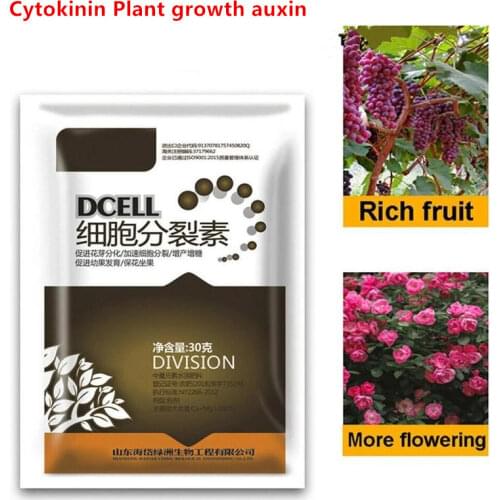 Cytokinin Plant Hormones Improve Vegetable Flower Fruit Tree Better Product Grow Delaying Leaf Senescence Gardening accessories