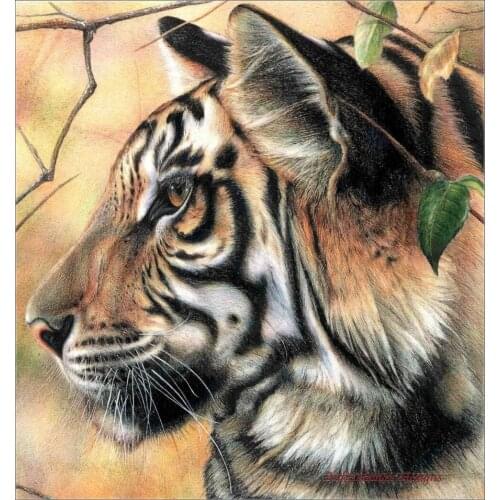 Embroidery Counted Cross Stitch Kits Needlework - Crafts 14 ct DMC DIY Arts Handmade Decor - Portrait of Tiger