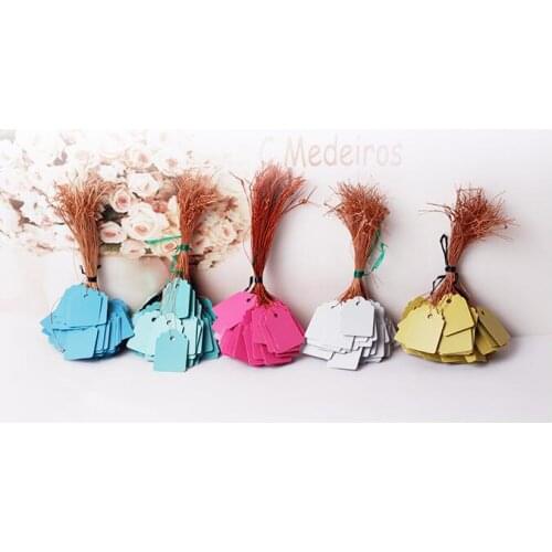 100Pcs/bag Waterproof Strip Line Gardening Labels Gardening Tree Signs Plant Hanging Tags Garden Labels Flower Tags Plant Lab