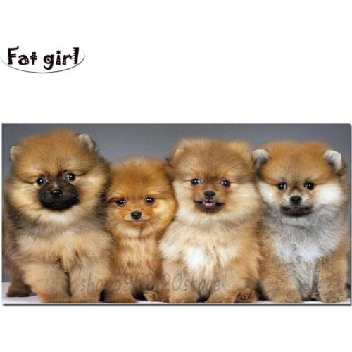 5d diamond painting Kids Room decoration diamond embroidery square round Large size puppies pomeranian Rhinestone handicrafts