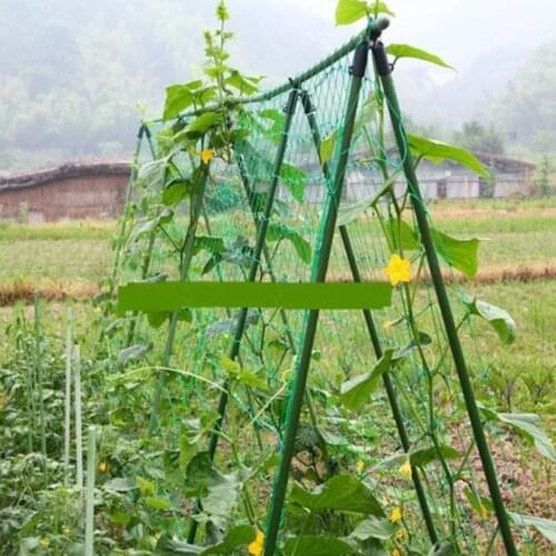 Trellis Plant Support Mesh Net Fence Tent Climbing Veggie Pea Bean Fruit Environmentally Friendly and Reusable Garden Supplies