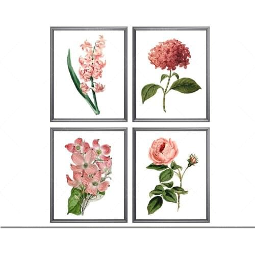 Un ensemble de 4 gravures de fleurs roses, œuvres d'art anciennes, impressions d'œuvres d'art de mur végétal