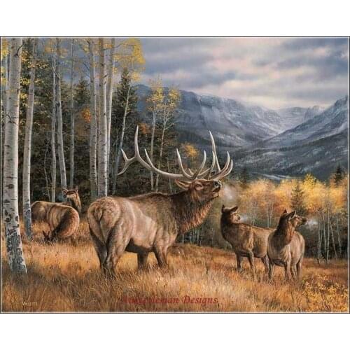 Embroidery Counted Cross Stitch Kits Needlework - Crafts 14 ct DMC Color DIY Arts Handmade Decor - Meadow Music