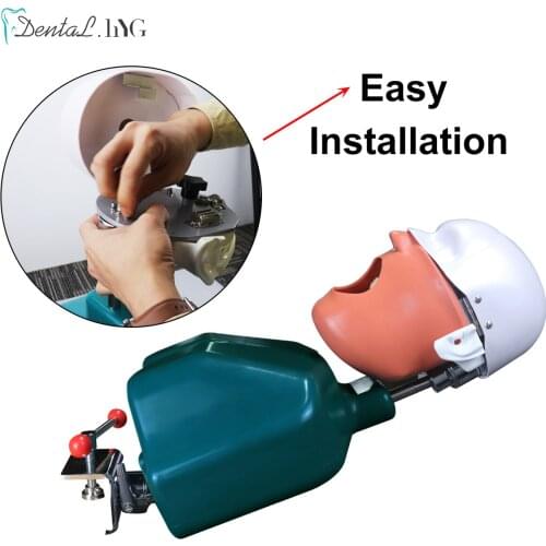 Dental Head Model Simulation Dentistry Manikins Simulator Phantom Dental Training Model for Dentist Pratice Student Education