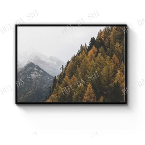 Autumn Forest Nature Photograph Green Wall Art Print Poster or Canvas Artwork