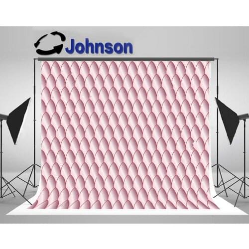 Pink Eggshell Oval Dark photo studio background High quality Computer print wall backdrops