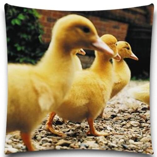 Yellow duck sheep Square Cushion Cover Soft Material For Kids Baby Girl Boy Bedroom sofa car Decor Drop 5 size 9 style