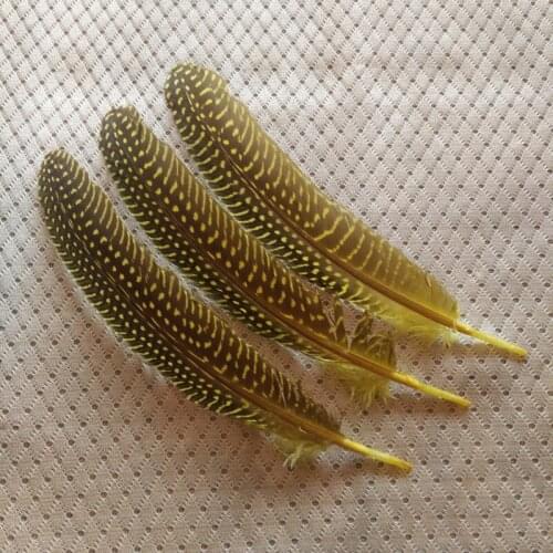 Wholesale 10pcs high quality beatiful Yellow guinea fowl feather 12-17cm / 5-7inch Decorative diy Clothing accessories