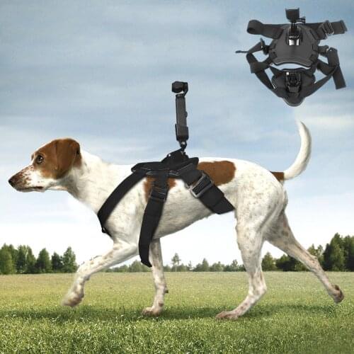 Pet Dog Band + Expansion Adapter Dog Strap Mount Connector DJI Osmo Pocket Accessories for DJI Osmo Pocket Camera Pet Dog strap