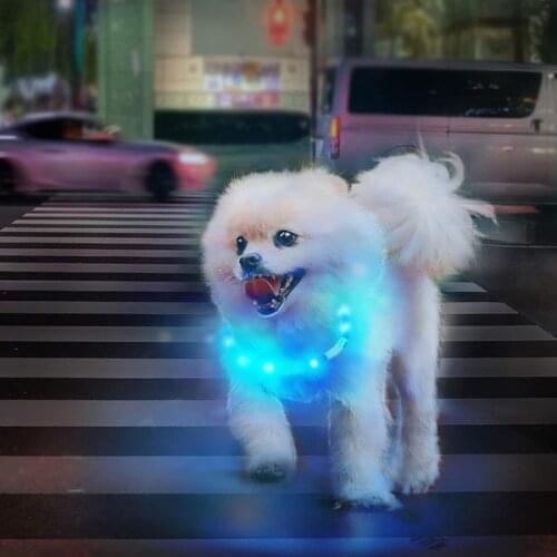 HONEYCARE LED Dog Collar Adjustable USB Rechargeable Glowing Pet Dog Collar Night Safety Waterproof Flashing Pet Products