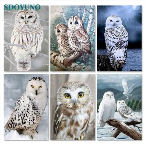 SDOYUNO Oil Paint By Numbers Kits Owl Animals Painting By Numbers On Canvas Frameless 60x75cm Figure Draw Painting DIY Home Deco