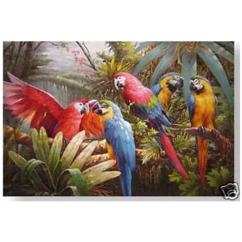 100% hand painted Handicrafts Repro oil painting:"parrot In canvas" 24x36