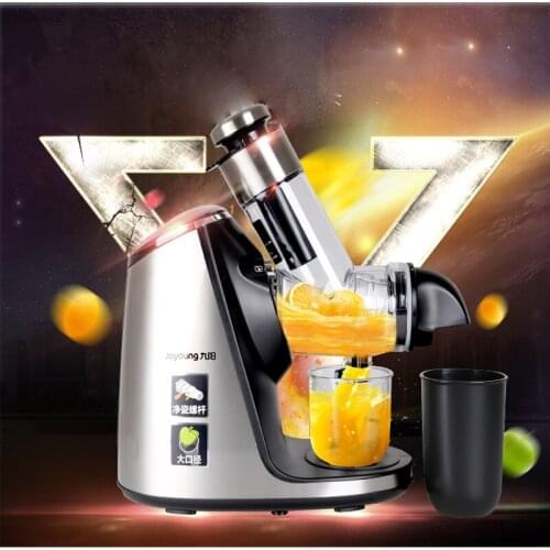 YunlinLi Electric Auger Juicers