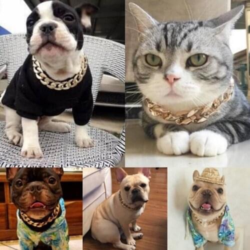 Fashion Pet Dog Necklace Collars Thick Gold Chain Plastic Plated Identified Safety Collar Puppy Dogs Pet Supplies 36cm/45cm