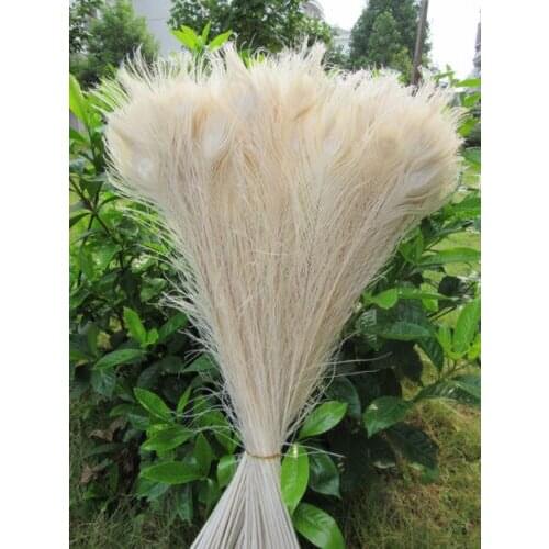 50Pcs 28-32 Inch (70-80CM) Plumas Boa white Peacock Eye Tail Wedding DIY Clothes Decoration Peacock Feathers