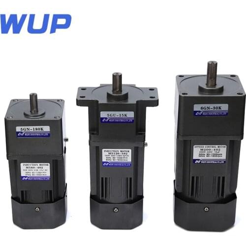 6W 220V miniature gear reducer / positive and negative AC speed control motor + governor