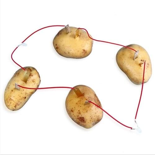 1 Set Kids Bio Energy Science Kit Potato Fruit Supply Electricity Experiments Children Student Learining Science Educational Toy