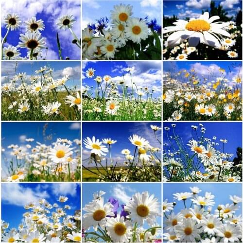 AZQSD Diamond Art Painting Daisy Cross Stitch Rhinestones Diamond Embroidery Flower Mosaic Handicraft Sale Home Decoration Gift