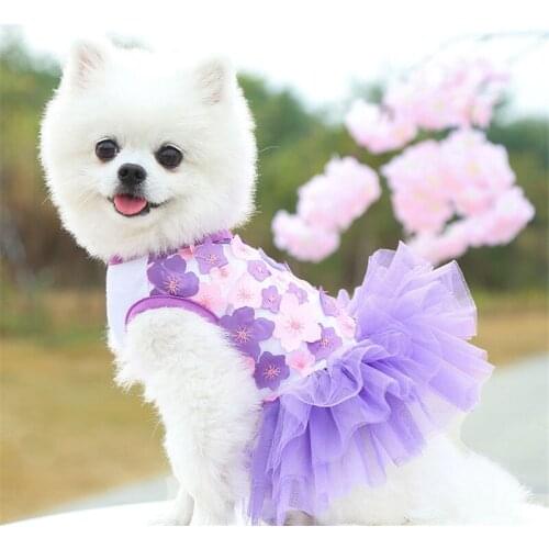 New Flower Dog Clothes for Small Dogs Dress Sweety Princess Dress That All Seasons Puppy Lace Princess Apparel Chihuahua Dog