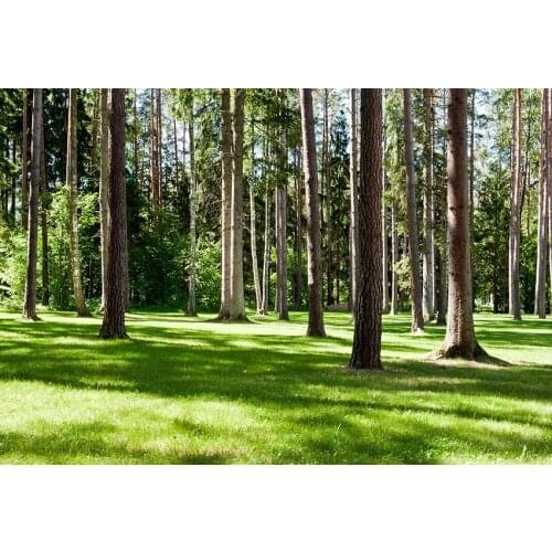 Baby birthday decorated photo background vinyl natural vlog photography backdrop for photography studio props fotografia lv-1621