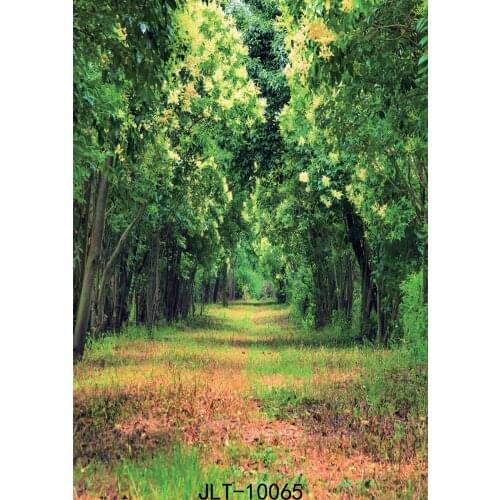 Forest Road Background for Photo Green Trees Grasses Dirt Road Photography Backdrop Vinyl Cloth 3D Jungle Party for Photo Studio