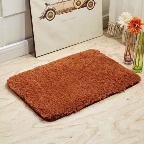 SR Soft Fluffy Carpet For Living Room Shaggy Wool Rug Anti-skid Absorbent Carpets Baths Door Bedroom Mat Kids Room Mats 60*90CM