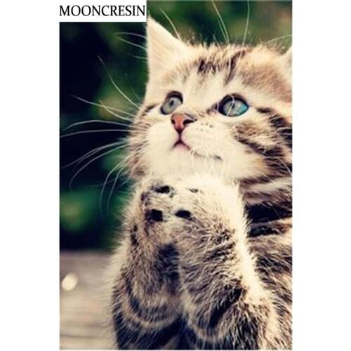 Картины котов по номерам CHENYI/宸艺 China At AliExpress