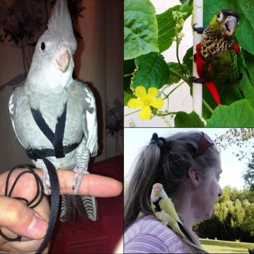 Parrot Harness And Leash Flying Anti-bite Traction Rope Bird Training Outdoor Carrying For Scarlet Macaw Parrots Birds