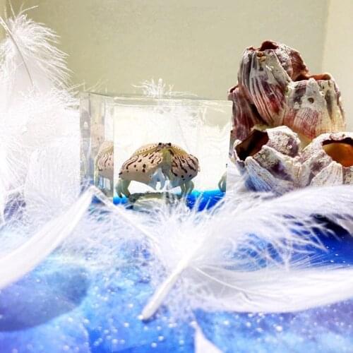 Handmade Marine Bread Crab Crystal Animal Qi Tan Ocean Resin Decoration Car Creative Gift