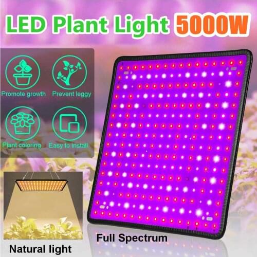 256 LEDs 5000W Grow Light Full Spectrum LED Plant Grow Light Indoor Plant Growing Light Greenhouse Garden Grow Lights