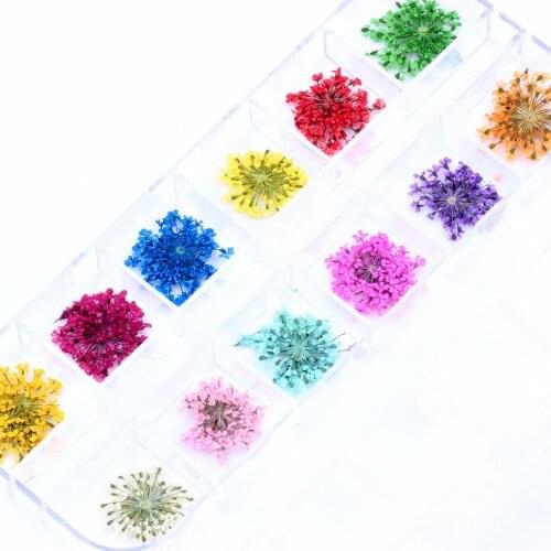 12 Colors Patterns 3D Dry Flowers Stickers Dried Nail Art Decoration DIY Manicure Tools w/box