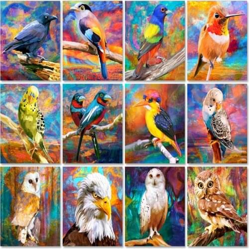 GATYZTORY Pictures By Numbers Bird DIY Unframe Handmade Gift Paint By Number On Canvas Kits Animal Wall Art Acrylic Paint