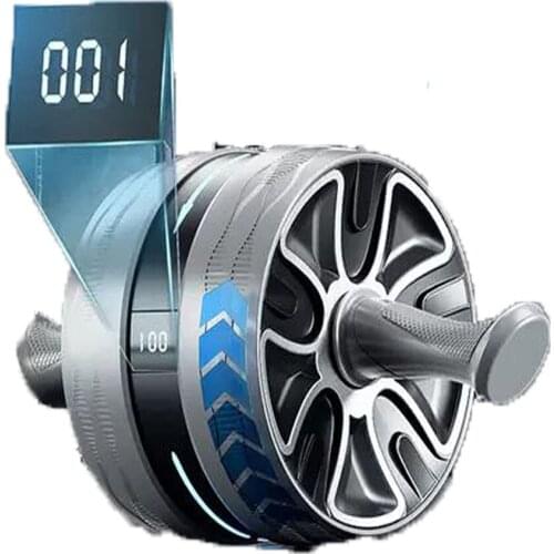 Ab Rollers Abdominal Muscle Trainer Home Training Gym Fitness Equipment Automatically Rebounds