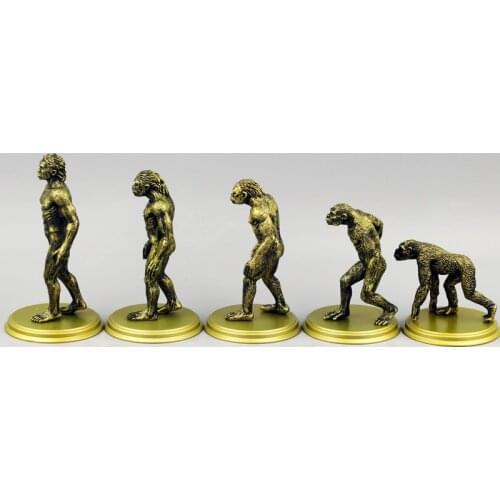 Exempt Postage Darwins Theory Of Evolution high cost performance The Origin Of Human Being Teaching props model 5cm-11cm