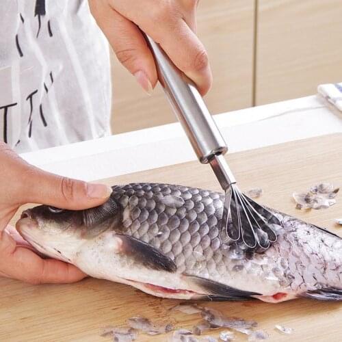 Stainless Steel Fish Scales Scraping Graters Coconut Shaver Kitchen Tool Fast Remove Fish Cleaning Peeler Scraper Cleaner Peeler