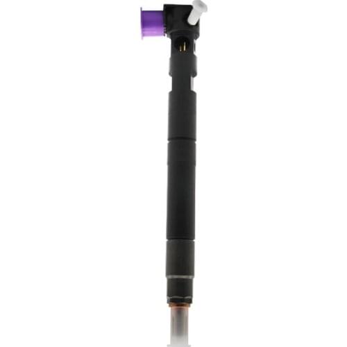 Golden Vidar Genuine Common Rail Diesel Fuel Injector 28229873 injector For Starex WGR Bongo WGT 2.5 CRDi