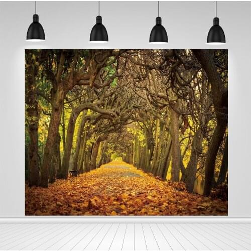 Scopiso Autumn Scenery Fallen Leaves Tree Nature Travel Scene Photo Backgrounds Custom Photography Backdrops For Photo Studio