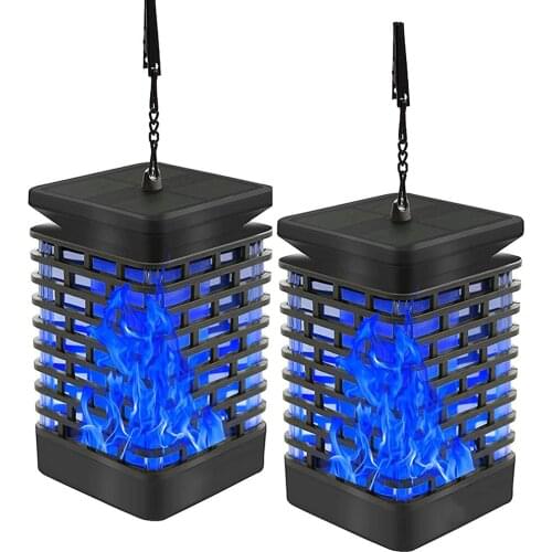 Himist Garden Lights