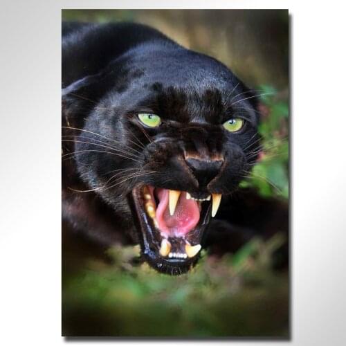 Panther diamond embroidery 5d DIY diamond painting cross stitch full square rhinestone mosaic,animal,unfinished home decoration