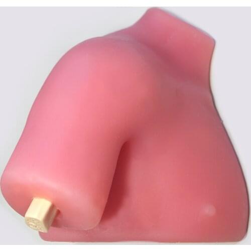 Shoulder joint model for arthroscopic training