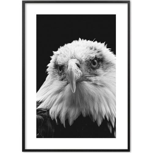 Black White Eagle Photography Animal Nordic Wall Art Print Paper Painting Poster And Prints Wall Pictures For Living Room Decor