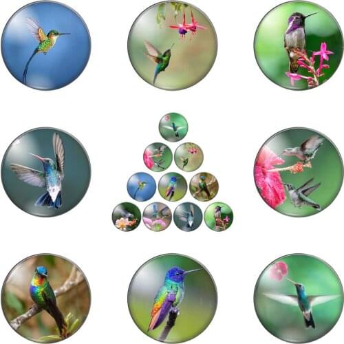 New Beauty Lively Hummingbirds Round Photo Glass Cabochon Demo Flat Back Making Findings Handmade DIY Accessories